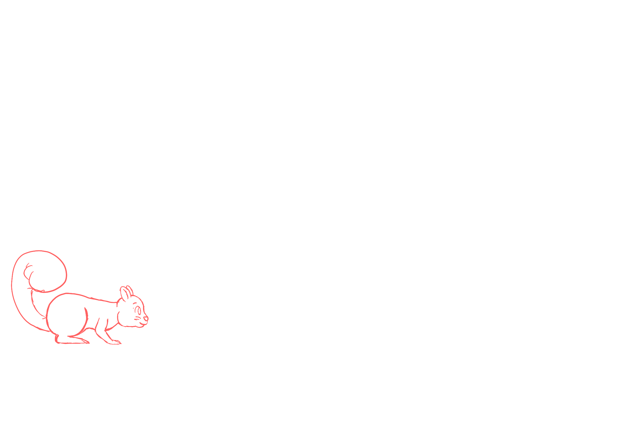 Website in a Day squirrel jump